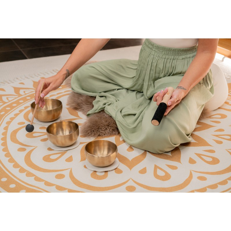 set campana tibetana meinl sonic energy SB-Y1 composta da tre campane con anello di supporto, battente e custodia.