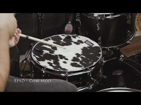sordina big fat snare drum 14" Cow Moo BFSD 14"